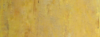 Sunny 20X8 Ultracloth ( 240 X 96 Inch ) Backdrop