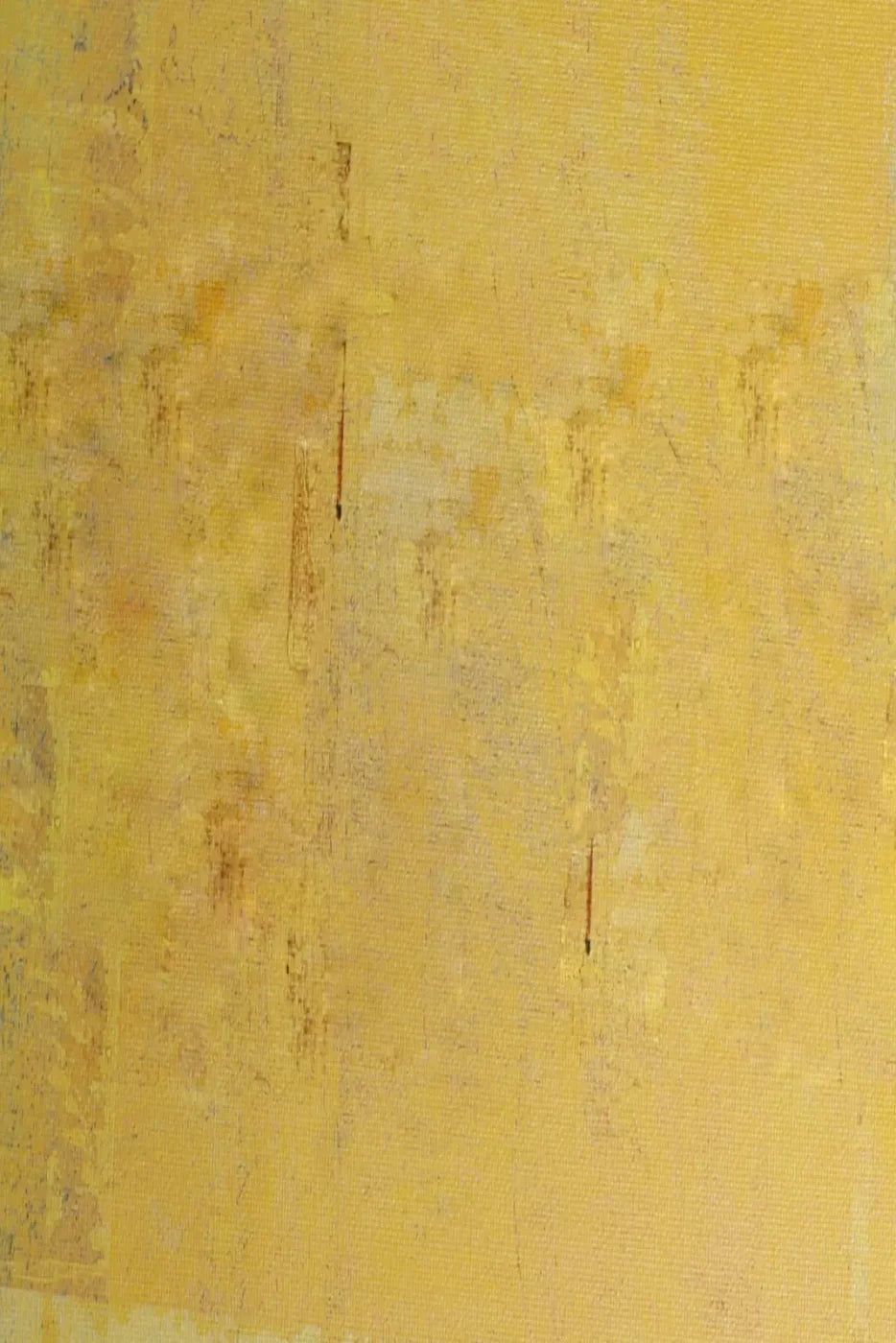 Sunny 5X8 Ultracloth ( 60 X 96 Inch ) Backdrop
