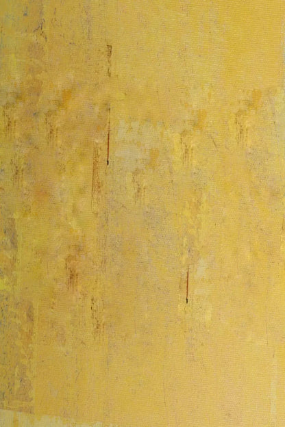 Sunny 5X8 Ultracloth ( 60 X 96 Inch ) Backdrop