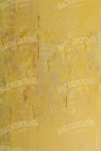 Sunny 5X8 Ultracloth ( 60 X 96 Inch ) Backdrop