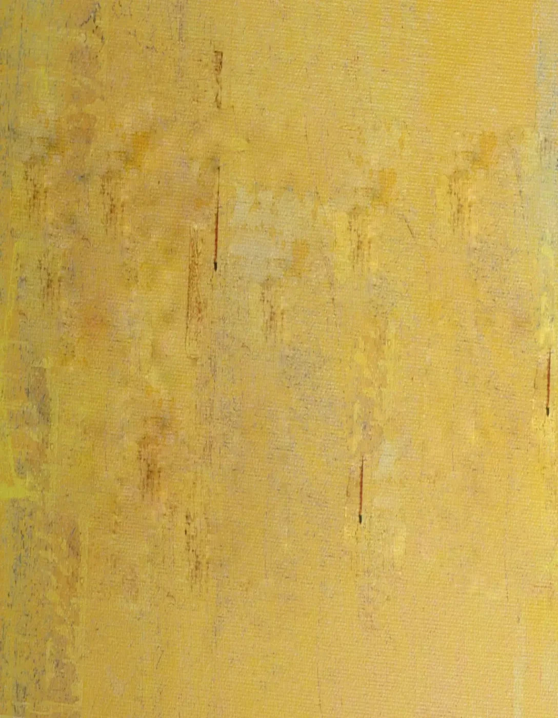 Sunny 6X8 Fleece ( 72 X 96 Inch ) Backdrop