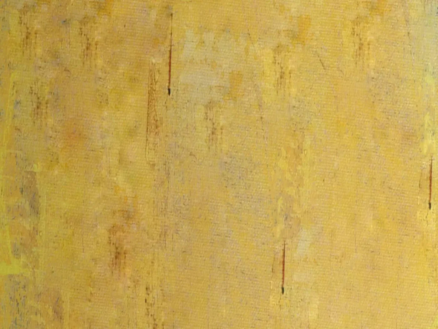 Sunny 7X5 Ultracloth ( 84 X 60 Inch ) Backdrop