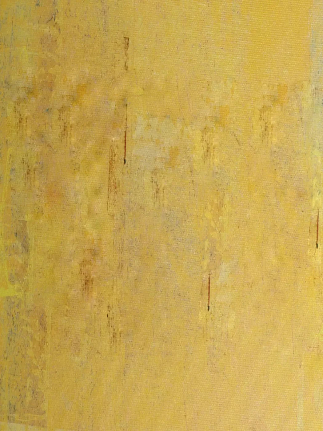 Sunny 8X10 Fleece ( 96 X 120 Inch ) Backdrop