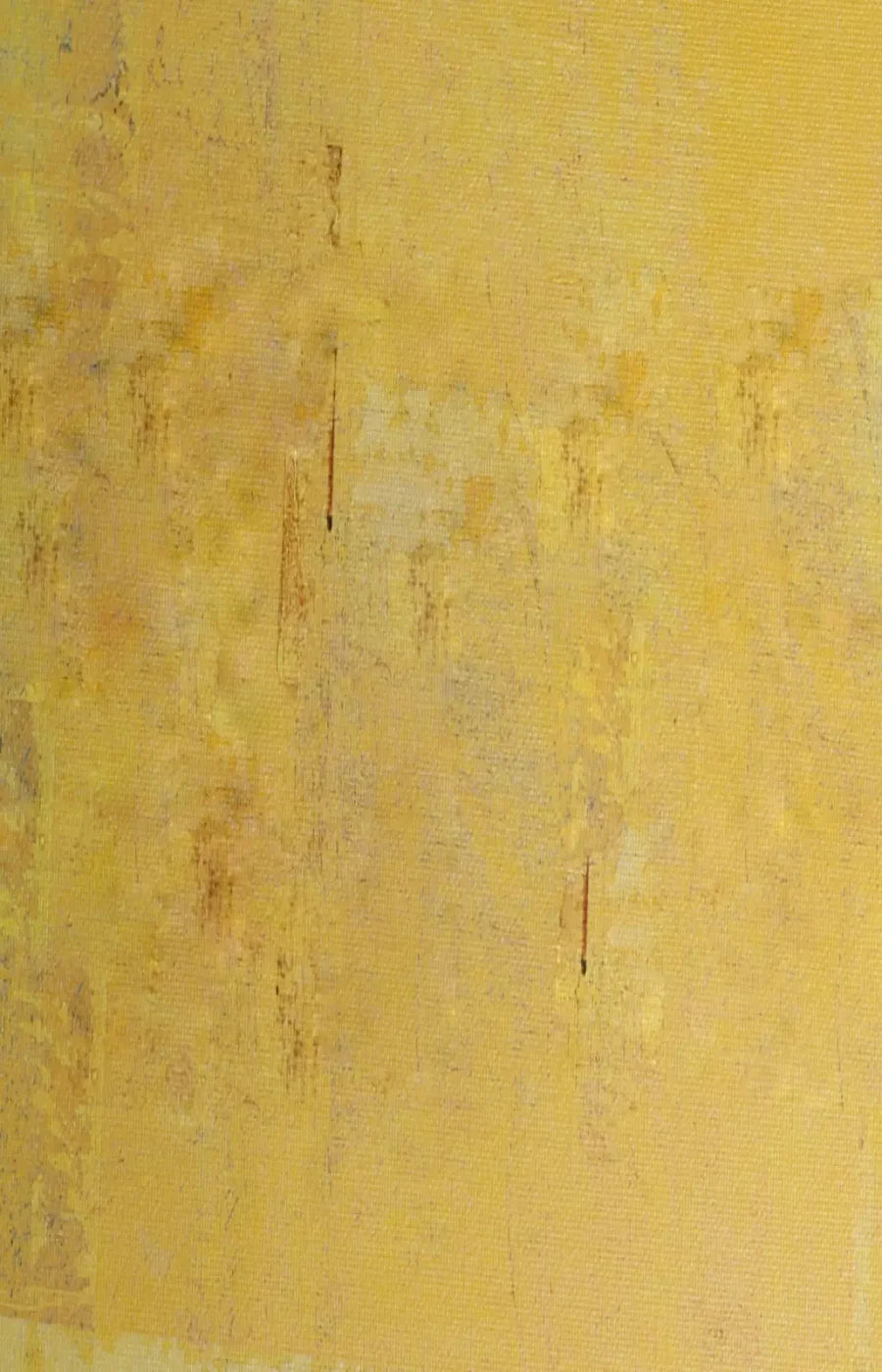 Sunny 8X12 Ultracloth ( 96 X 144 Inch ) Backdrop