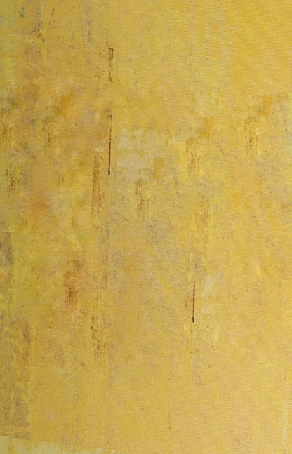 Sunny 8X12 Ultracloth ( 96 X 144 Inch ) Backdrop