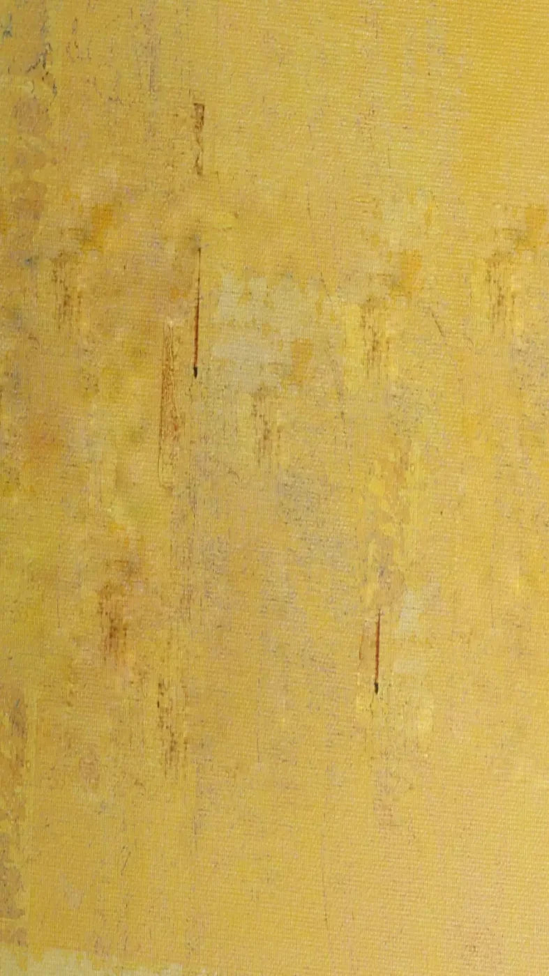 Sunny 8X14 Ultracloth ( 96 X 168 Inch ) Backdrop