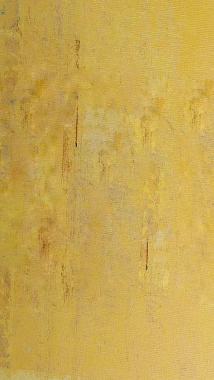 Sunny 8X14 Ultracloth ( 96 X 168 Inch ) Backdrop