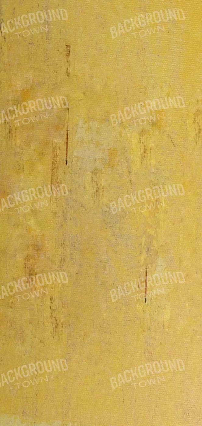 Sunny 8X16 Ultracloth ( 96 X 192 Inch ) Backdrop