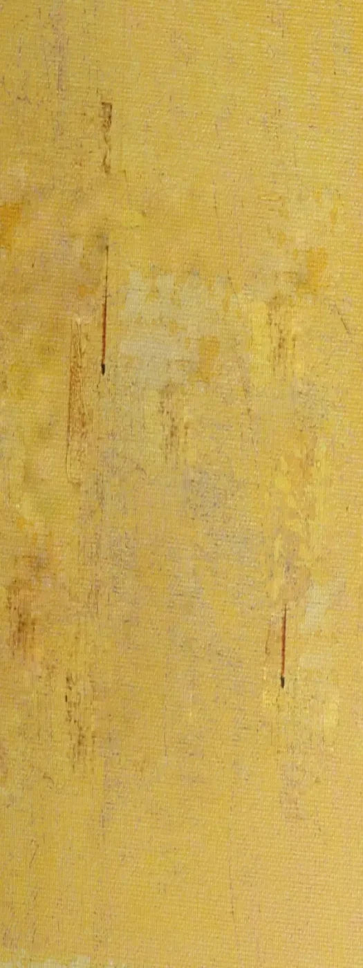 Sunny 8X20 Ultracloth ( 96 X 240 Inch ) Backdrop