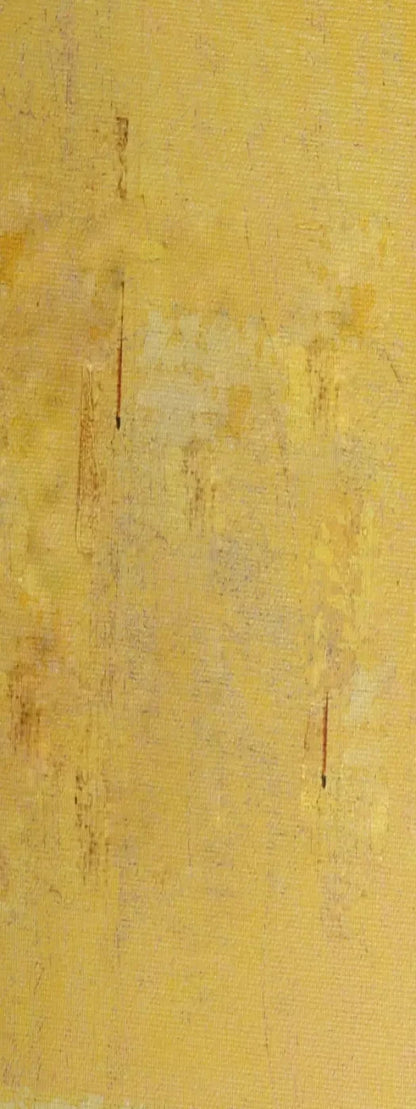 Sunny 8X20 Ultracloth ( 96 X 240 Inch ) Backdrop