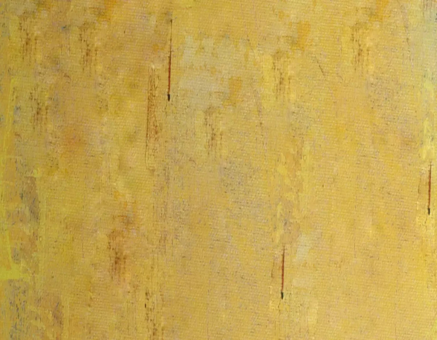 Sunny 8X6 Fleece ( 96 X 72 Inch ) Backdrop