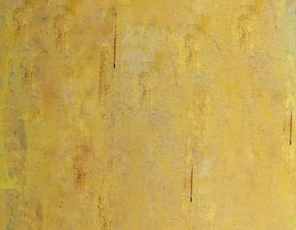 Sunny 8X6 Fleece ( 96 X 72 Inch ) Backdrop