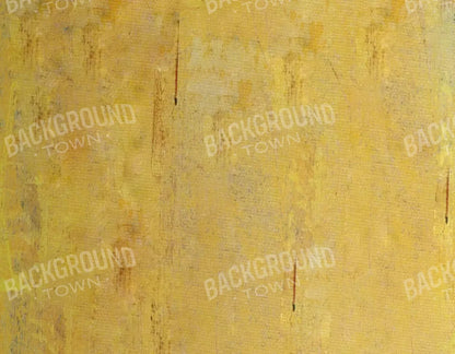 Sunny 8X6 Fleece ( 96 X 72 Inch ) Backdrop