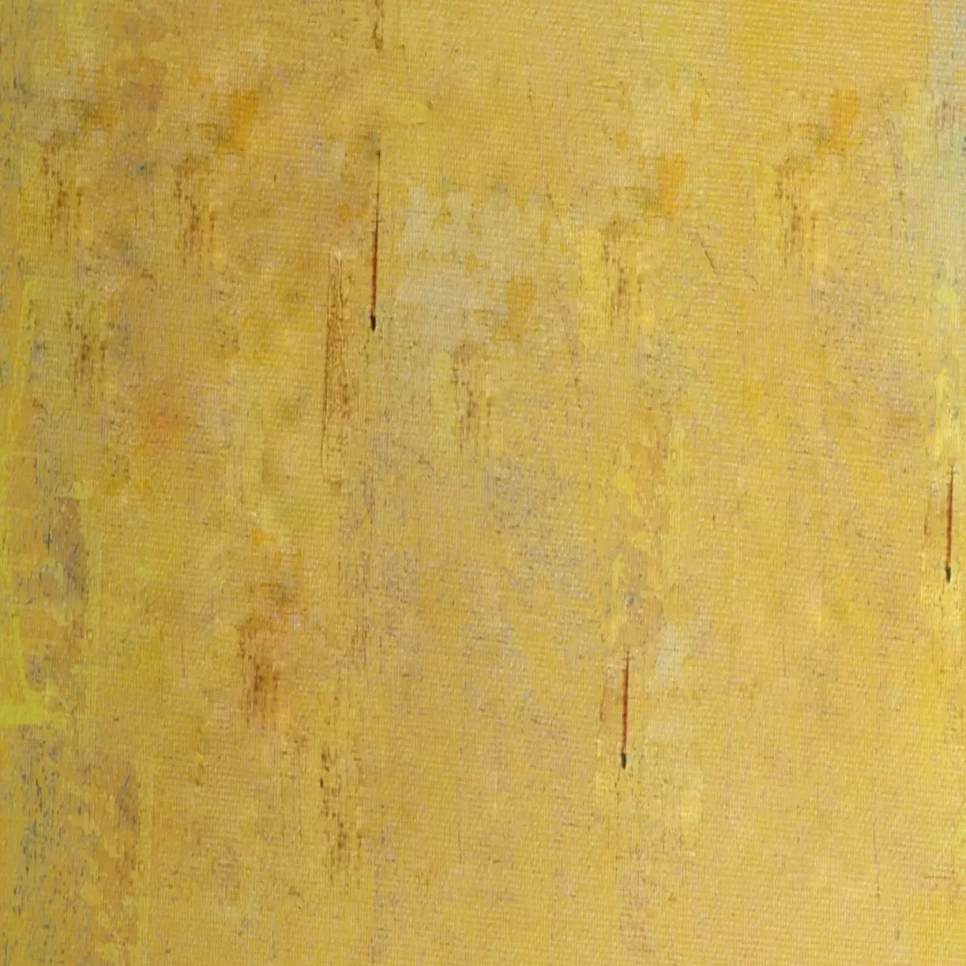 Sunny 8X8 Fleece ( 96 X Inch ) Backdrop
