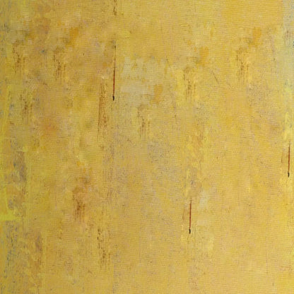 Sunny 8X8 Fleece ( 96 X Inch ) Backdrop