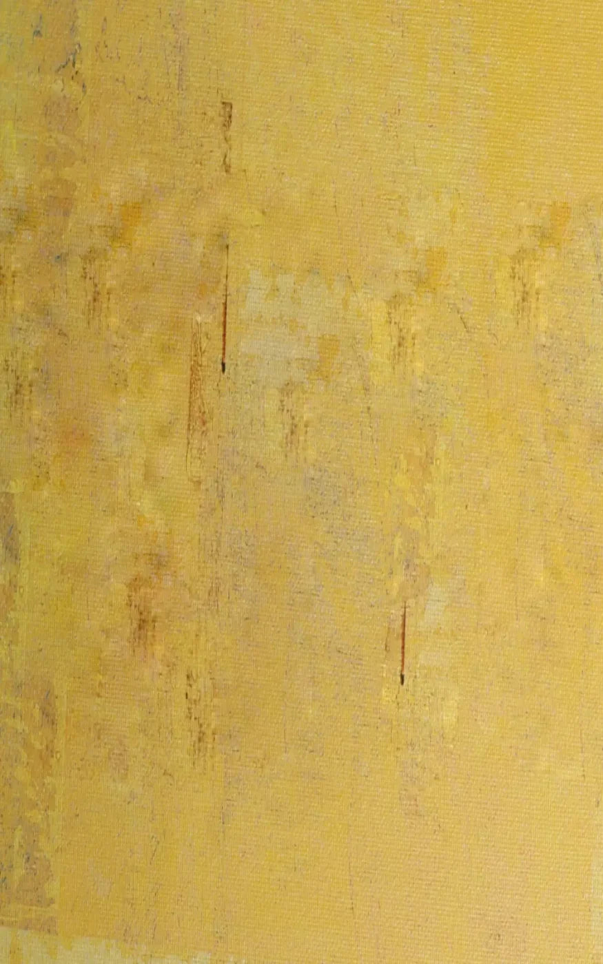 Sunny 9X14 Ultracloth ( 108 X 168 Inch ) Backdrop