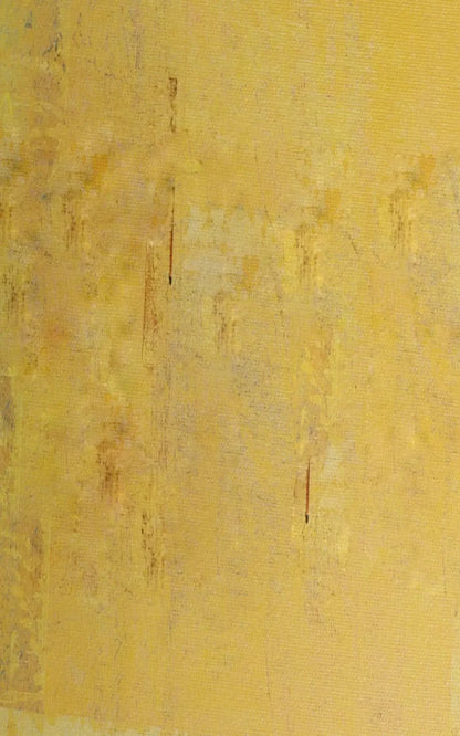 Sunny 9X14 Ultracloth ( 108 X 168 Inch ) Backdrop