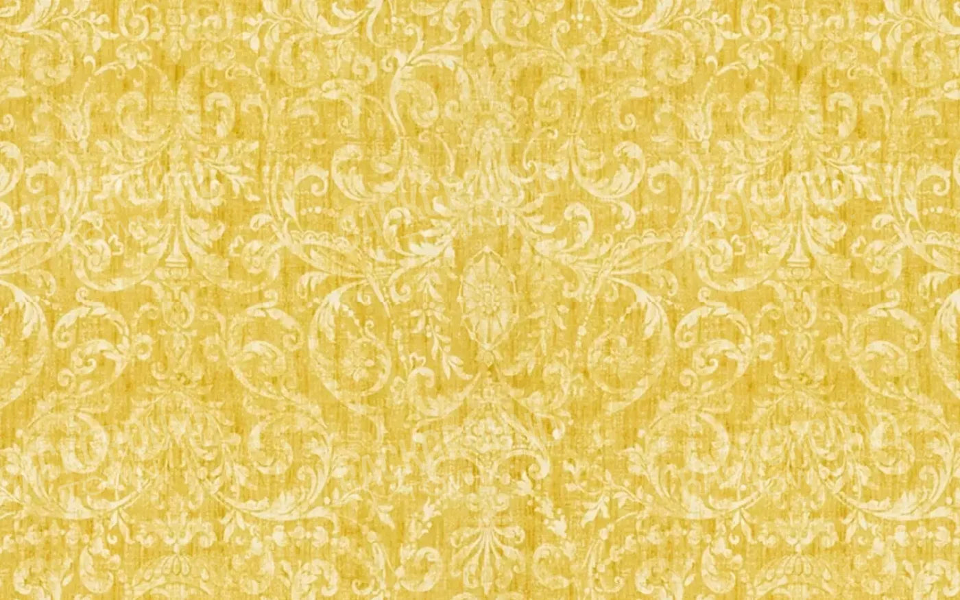 Sunny Day 14X9 Ultracloth ( 168 X 108 Inch ) Backdrop