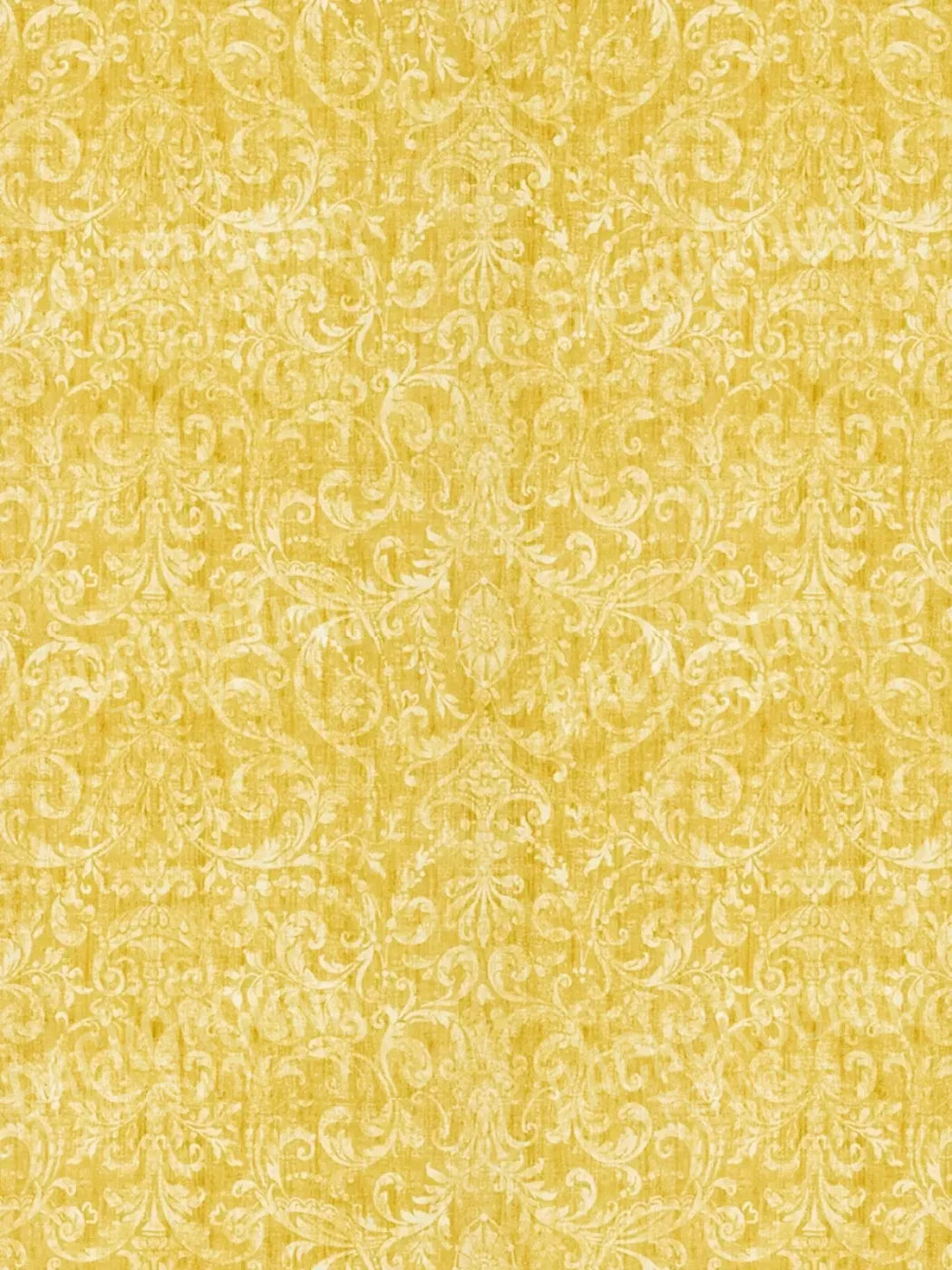 Sunny Day 5X68 Fleece ( 60 X 80 Inch ) Backdrop