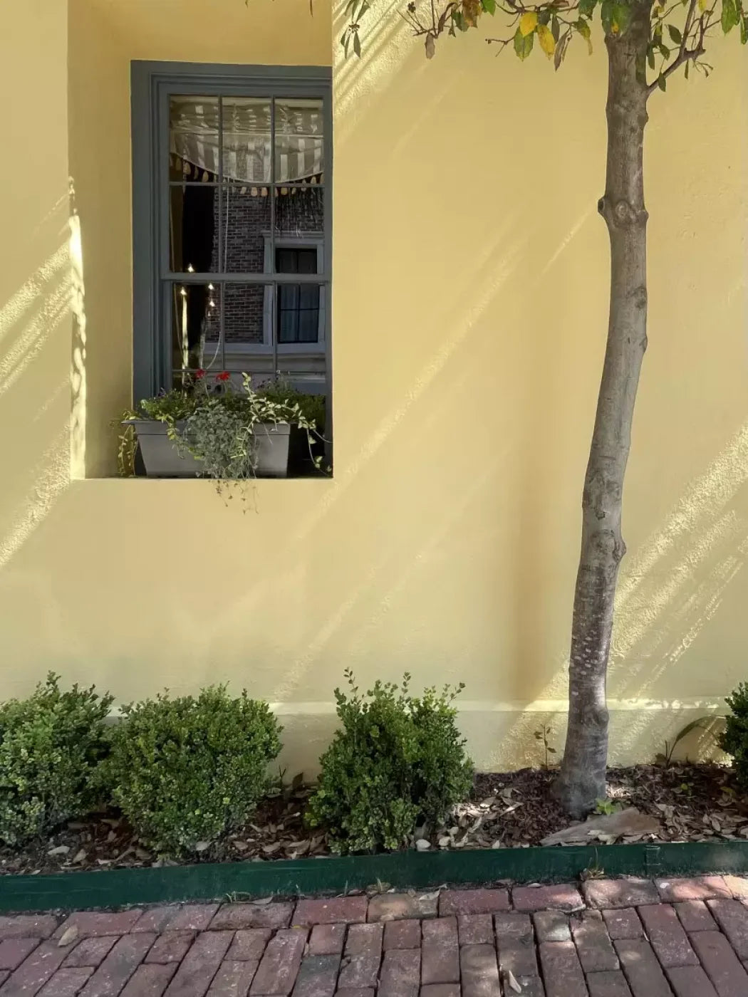 Sunny Stroll 5X68 Fleece ( 60 X 80 Inch ) Backdrop