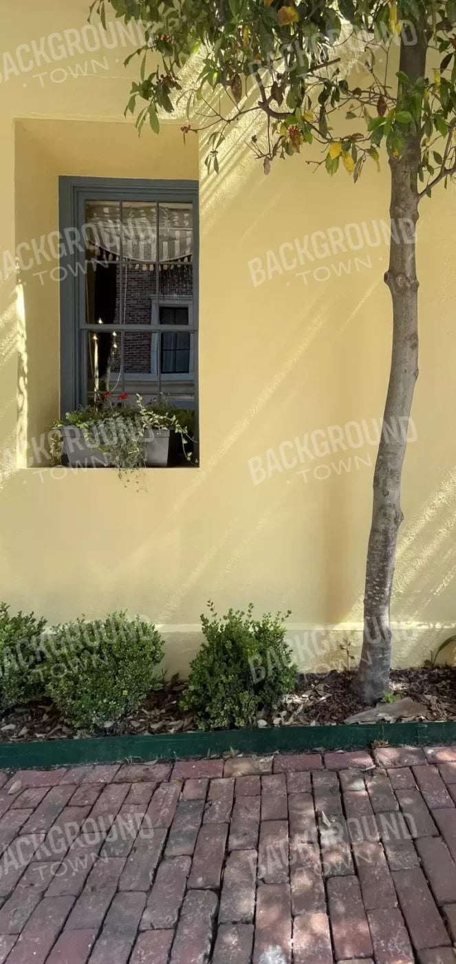 Sunny Stroll 8X16 Ultracloth ( 96 X 192 Inch ) Backdrop