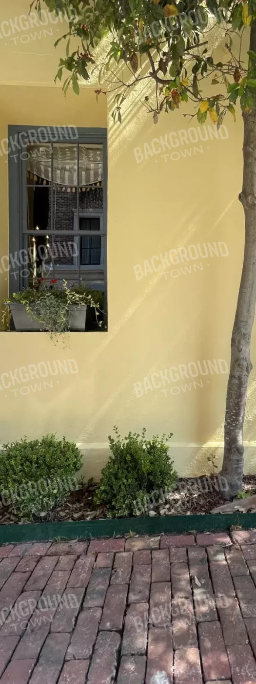 Sunny Stroll 8X20 Ultracloth ( 96 X 240 Inch ) Backdrop