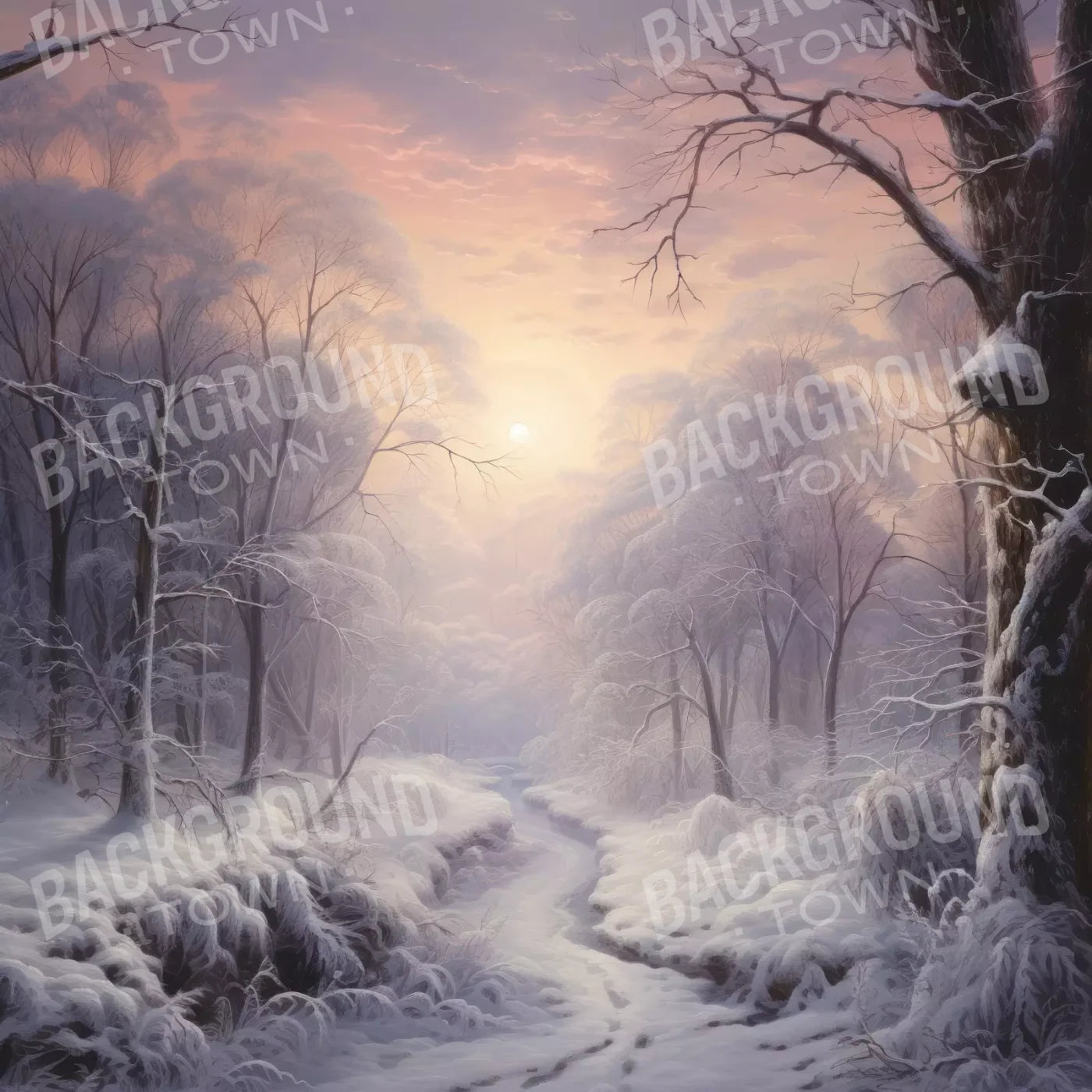 Sunrise Winter Wonderland 10X10 Ultracloth ( 120 X Inch ) Backdrop