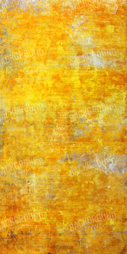 Sunshine Grunge 10X20 Ultracloth ( 120 X 240 Inch ) Backdrop