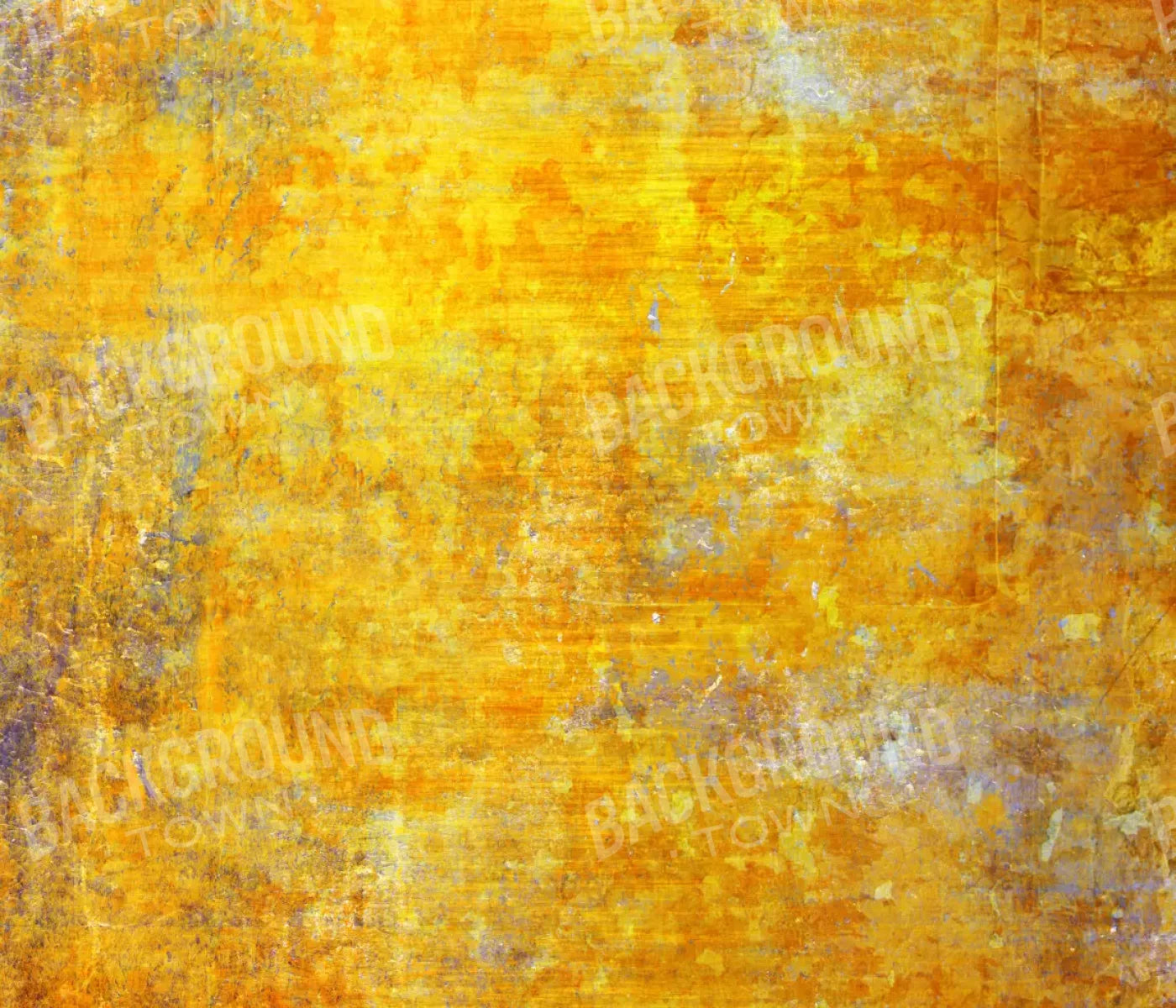 Sunshine Grunge 12X10 Ultracloth ( 144 X 120 Inch ) Backdrop