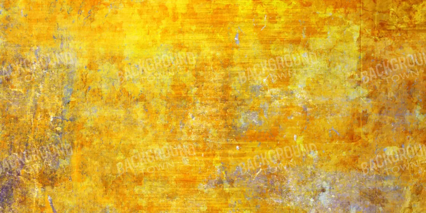 Sunshine Grunge 20X10 Ultracloth ( 240 X 120 Inch ) Backdrop