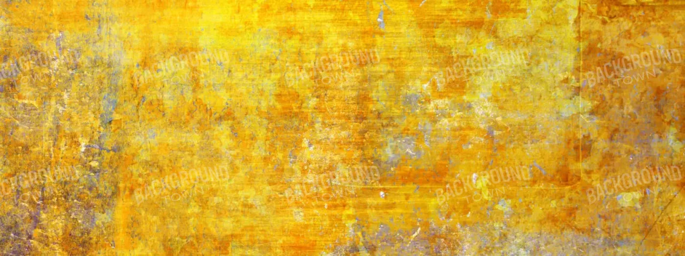 Sunshine Grunge 20X8 Ultracloth ( 240 X 96 Inch ) Backdrop