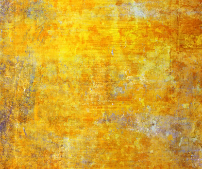 Sunshine Grunge 5X42 Fleece ( 60 X 50 Inch ) Backdrop
