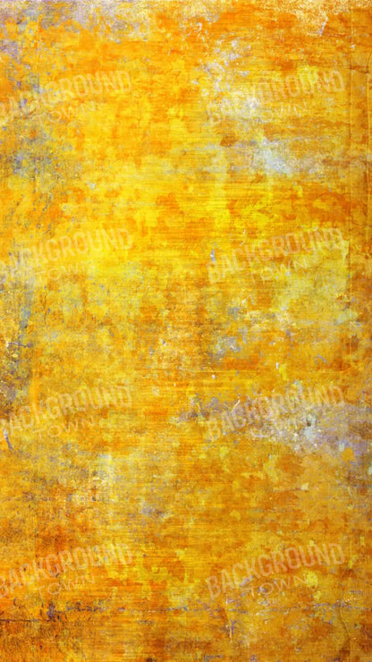 Sunshine Grunge 8X14 Ultracloth ( 96 X 168 Inch ) Backdrop