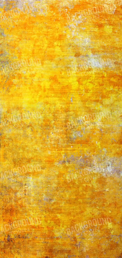 Sunshine Grunge 8X16 Ultracloth ( 96 X 192 Inch ) Backdrop