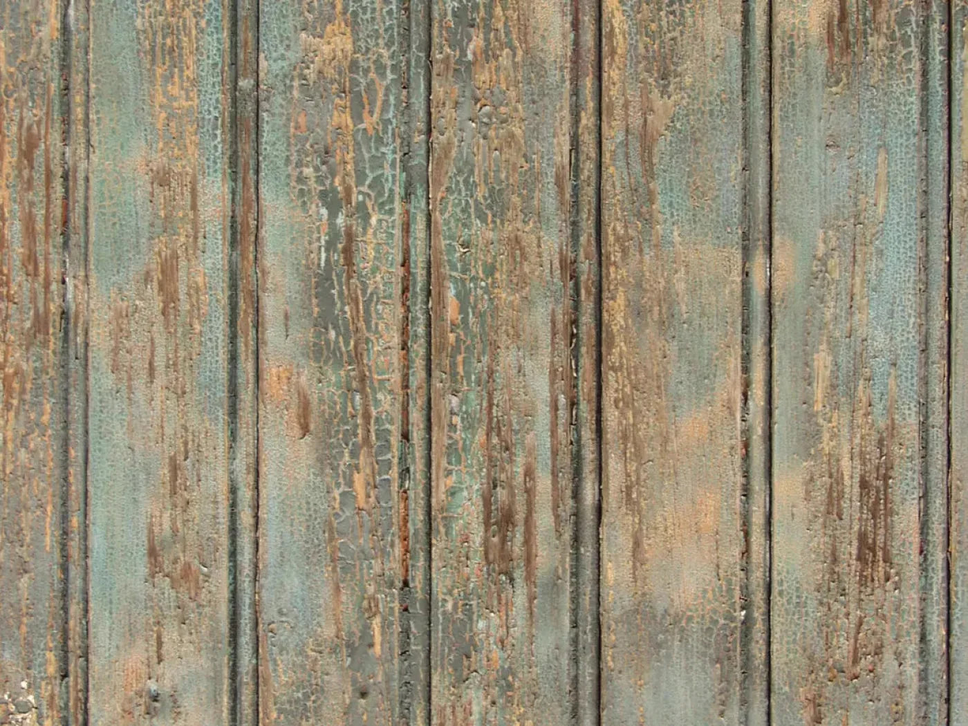 Support 68X5 Fleece ( 80 X 60 Inch ) Backdrop