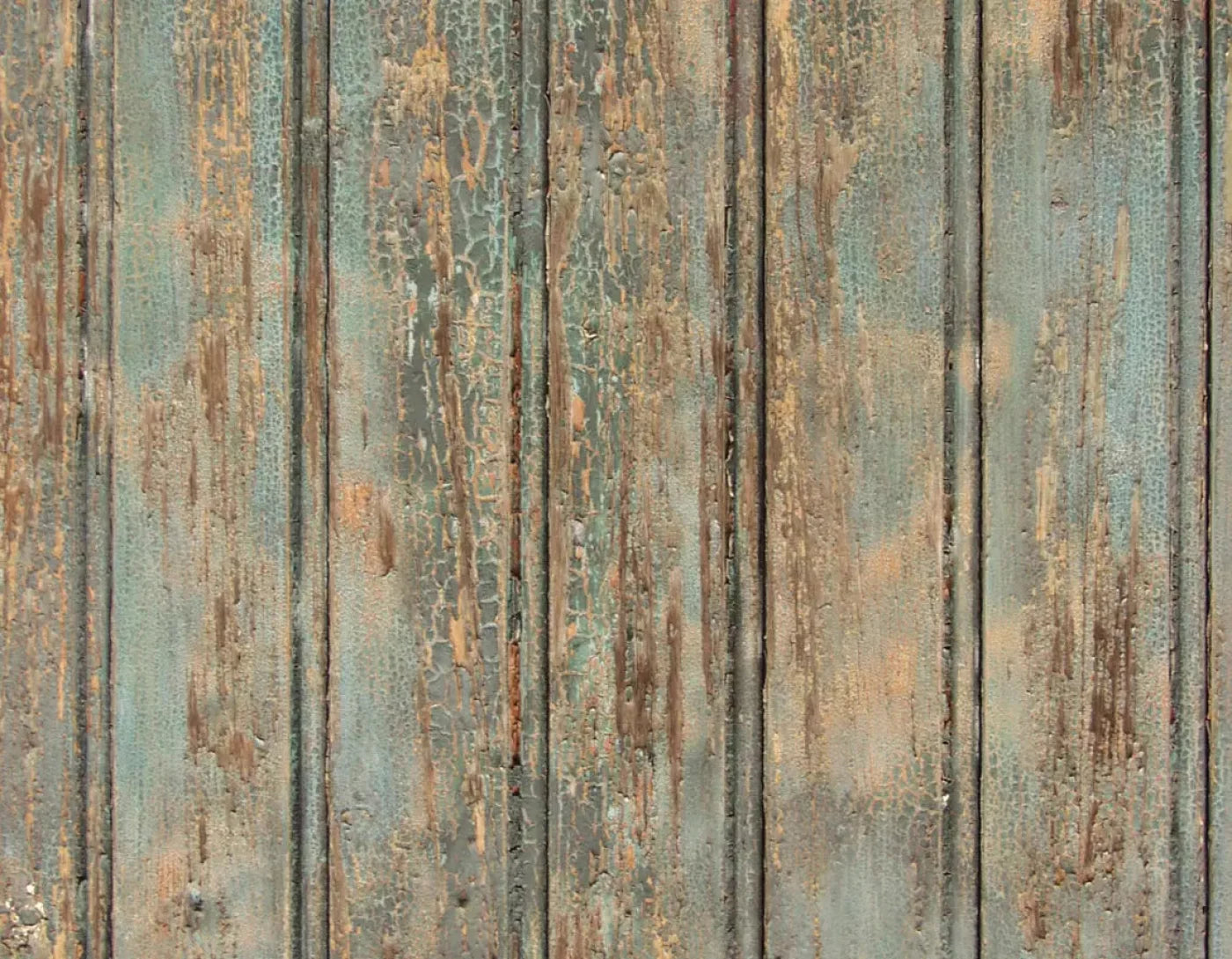Support 8X6 Fleece ( 96 X 72 Inch ) Backdrop