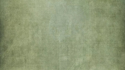 Sydney 14X8 Ultracloth ( 168 X 96 Inch ) Backdrop