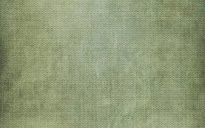 Sydney 14X9 Ultracloth ( 168 X 108 Inch ) Backdrop