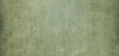 Sydney 16X8 Ultracloth ( 192 X 96 Inch ) Backdrop