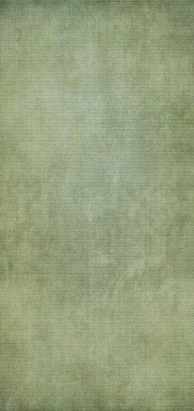 Sydney 8X16 Ultracloth ( 96 X 192 Inch ) Backdrop