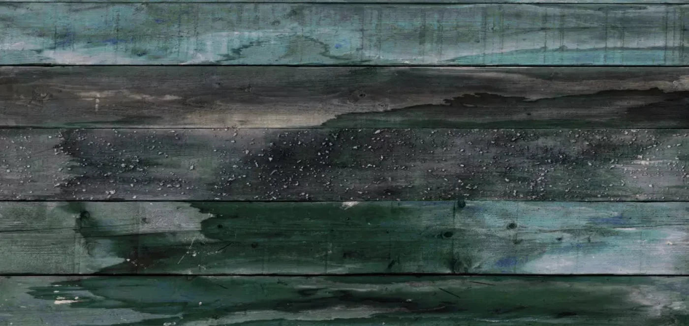 Sylvan 16X8 Ultracloth ( 192 X 96 Inch ) Backdrop
