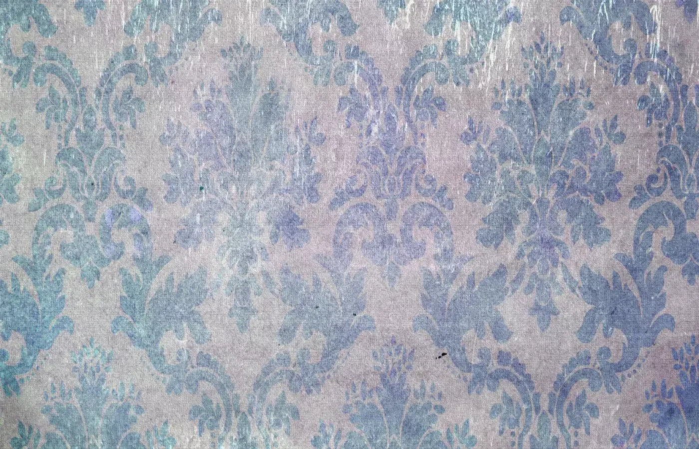 Tabitha 12X8 Ultracloth ( 144 X 96 Inch ) Backdrop