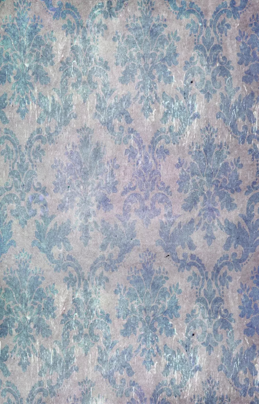 Tabitha 8X12 Ultracloth ( 96 X 144 Inch ) Backdrop