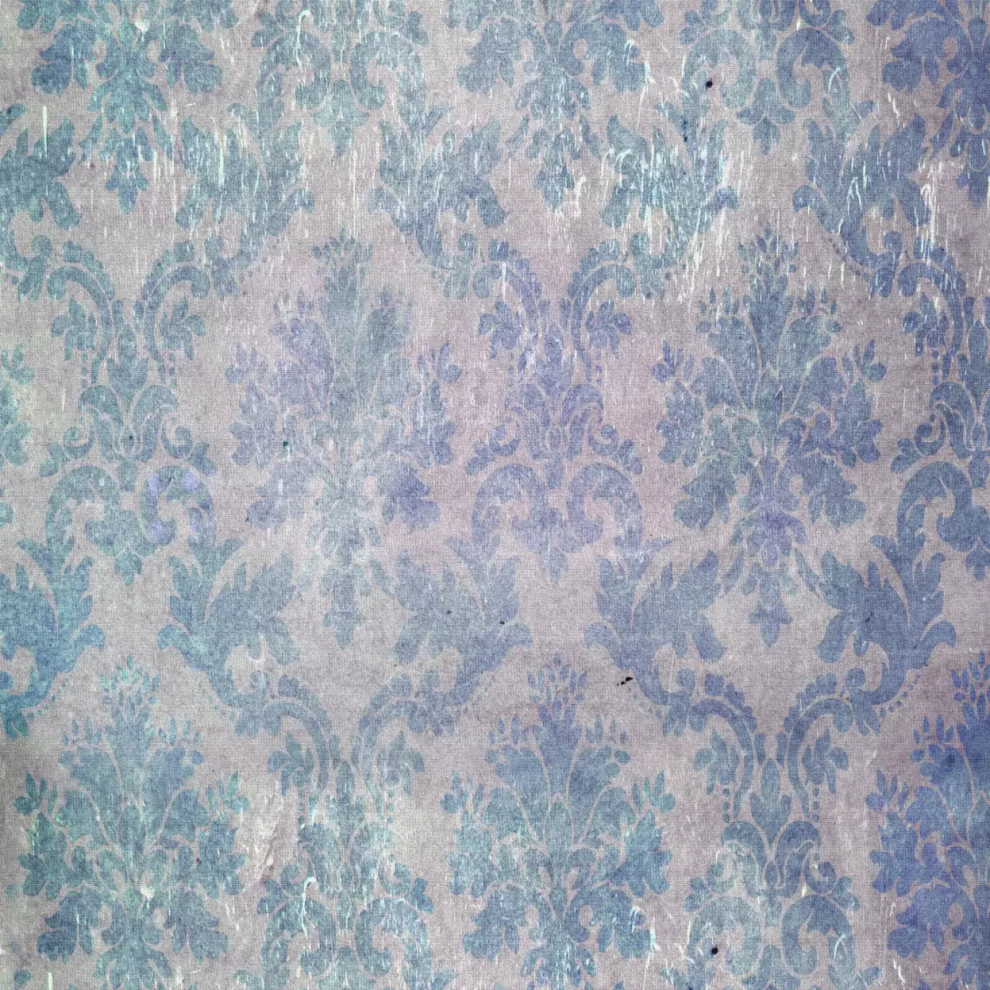 Tabitha Backdrop