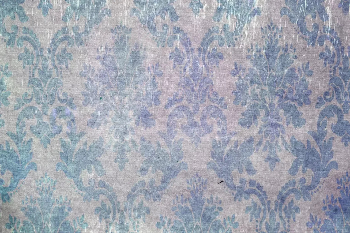 Tabitha Backdrop