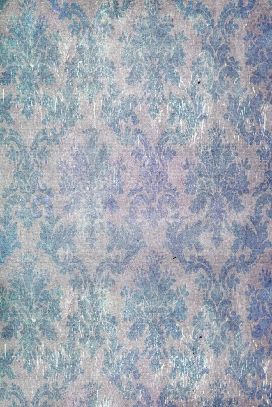 Tabitha Backdrop