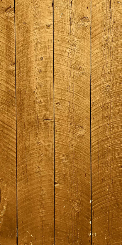 Tacoma 10X20 Ultracloth ( 120 X 240 Inch ) Backdrop