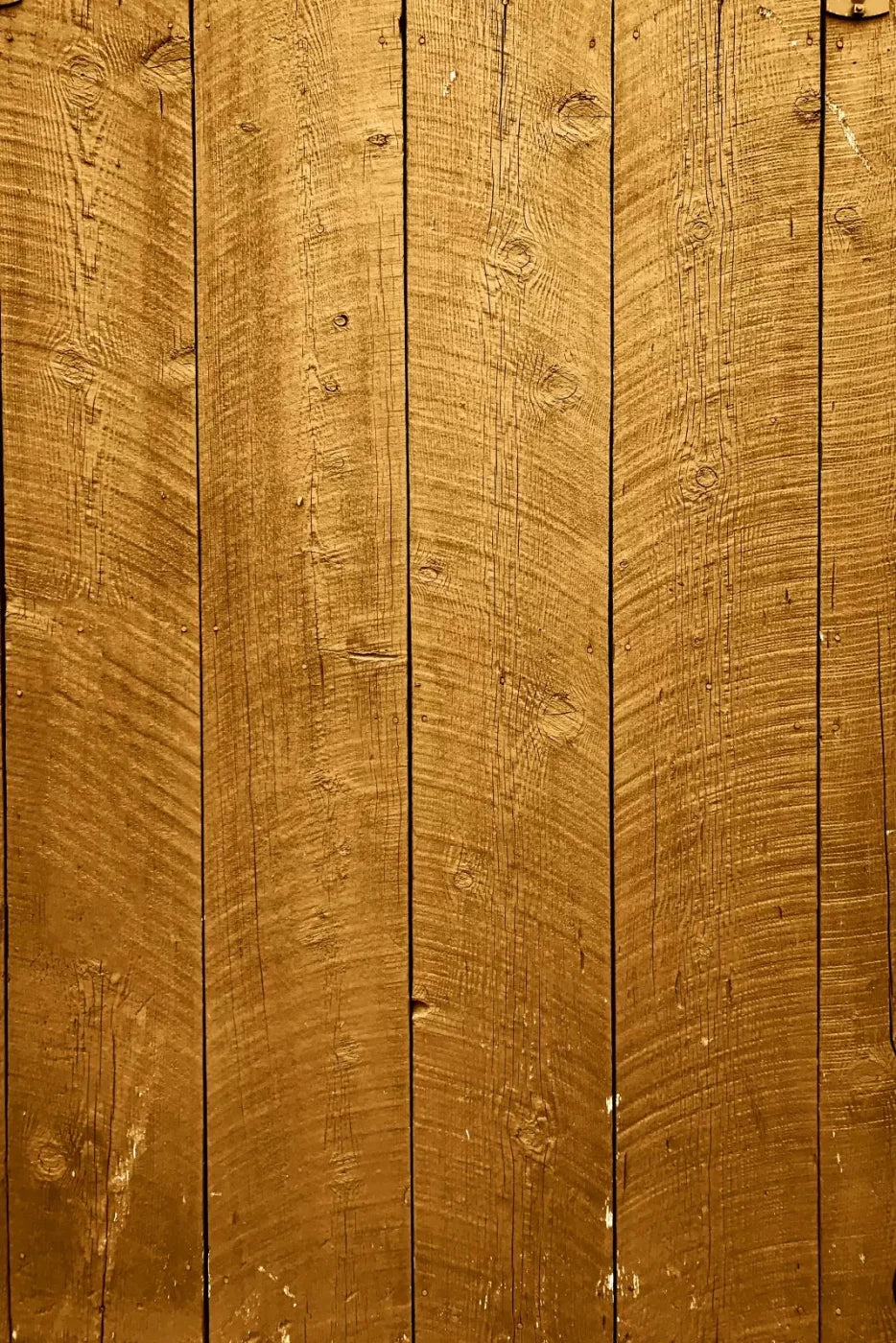 Tacoma 5X8 Ultracloth ( 60 X 96 Inch ) Backdrop