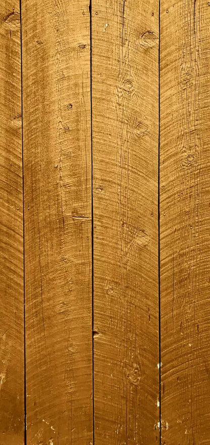 Tacoma 8X16 Ultracloth ( 96 X 192 Inch ) Backdrop