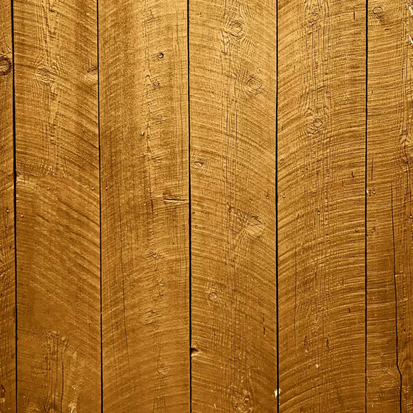 Tacoma 8X8 Fleece ( 96 X Inch ) Backdrop